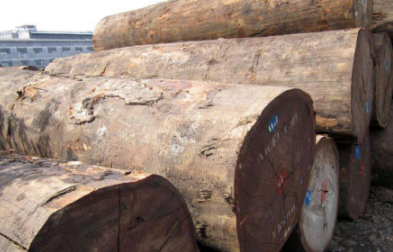 深圳外贸公司-进口沙比利原木操作案例